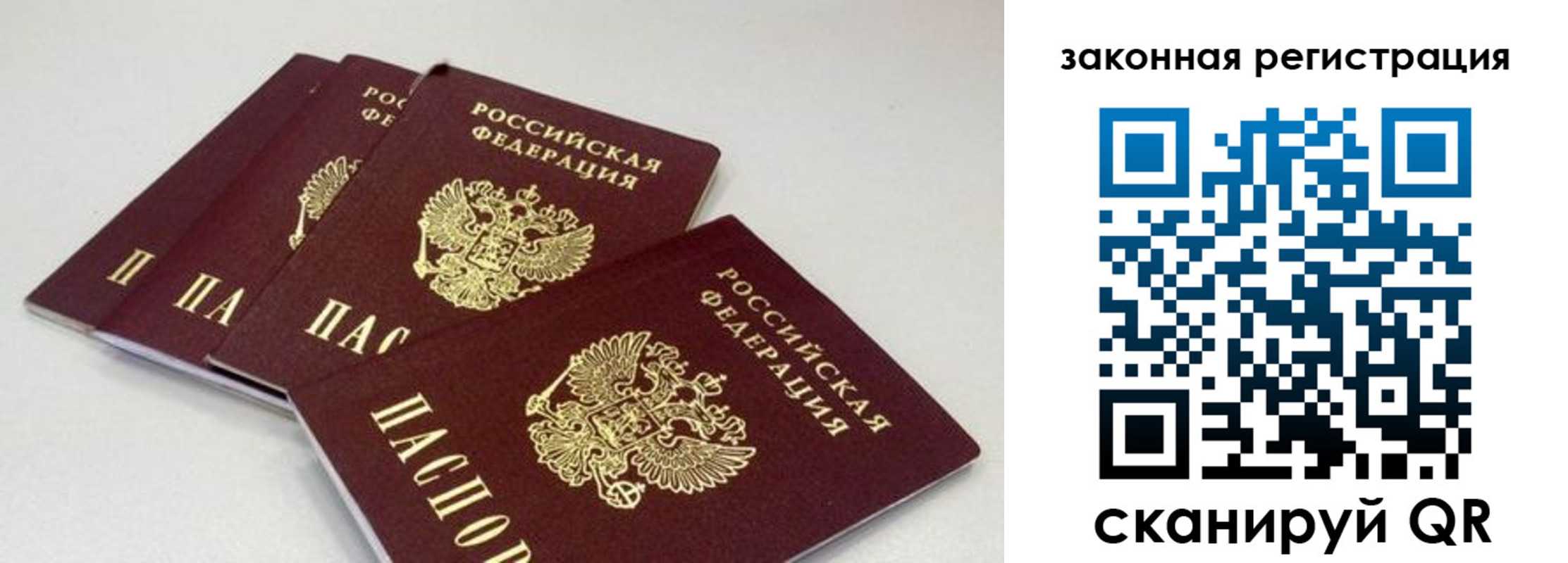 временная регистрация в Мурманской области